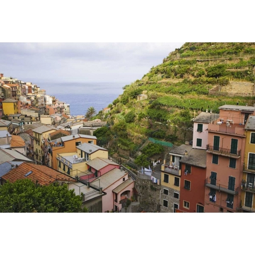 Hillside village of Manarola-Cinque Terre, Italy